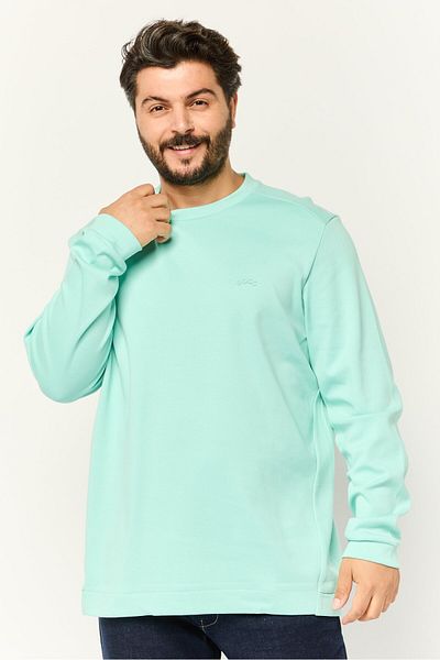 BOSS Men Crew Neck Brand Logo Long Sleeves Sweatshirt, Mint Green