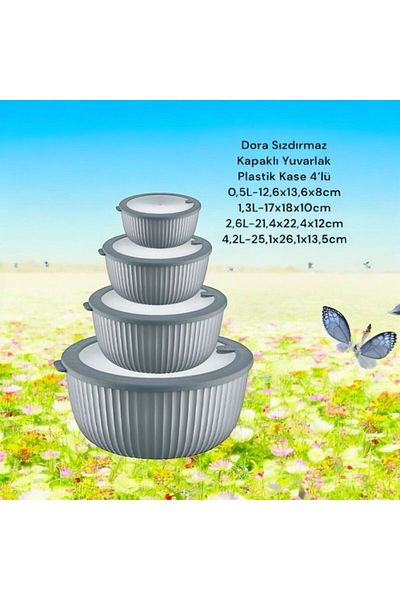HOLLYHOME 4-Piece Dora Leakproof Round Plastic Bowl with Lid Gray