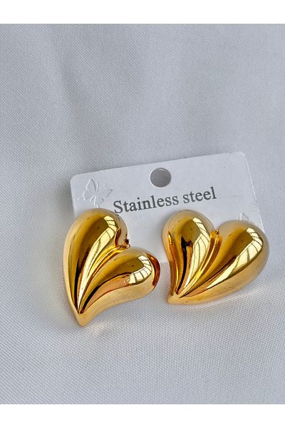 sulyra Steel Earrings