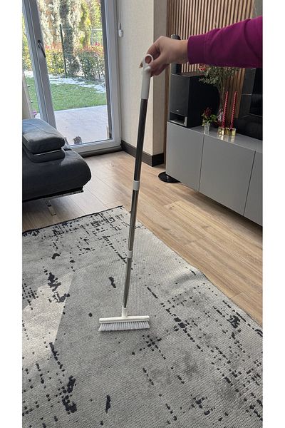Home Hard Bristle Brush with Puller