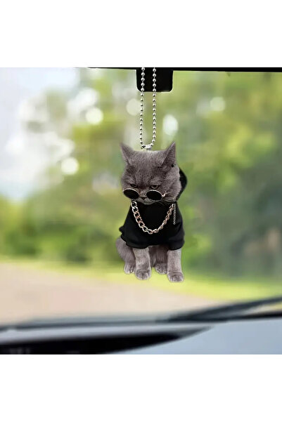 Home زخرفة معلقة من الأكريليك 2D على شكل قطة مع نظارات رائعة