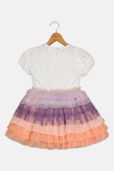 Miss Kids Girl Embroidered Dress, Multicolor