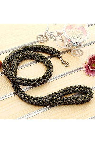 Choice XXL popular green Dog leash for effective training and comfortable walking, strong and durable brai