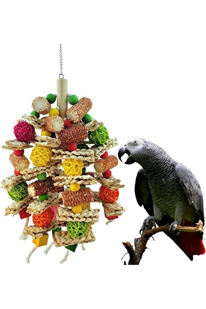Choice Bird Swing Toy Wooden Parrot Perch Stand Playstand with Chewing Beads ...