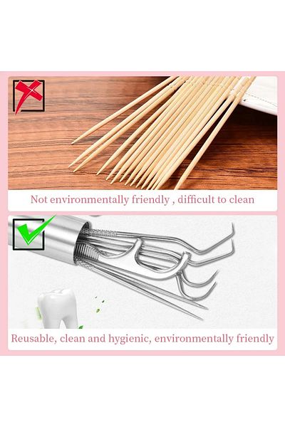 Choice 7PCS Aluminum Toothpicks Set, Reusable Tooth Floss Picks for Teeth Cleaning & Oral Care, Portable...