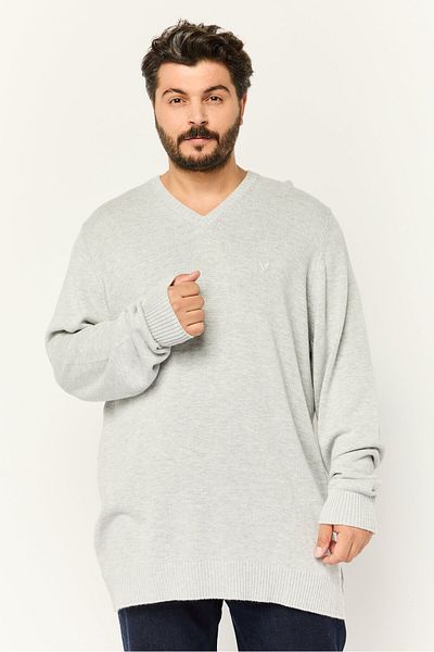 AMERICAN EAGLE Men V-neck Embroidered Logo Long Sleeves Sweater, Light Grey