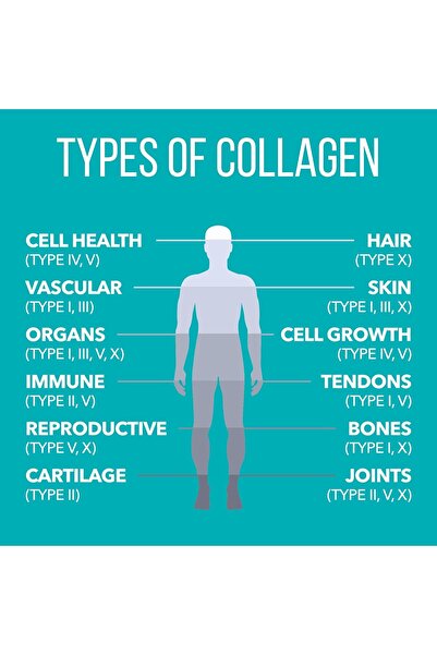 genernic Nature's Plus Collagen Peptides (0.65 lbs / 294 g)