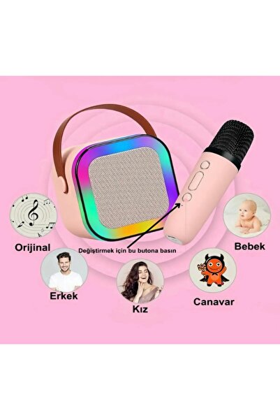 ABAS Karoke Karaoke Ses Topu Mikrofon Seti