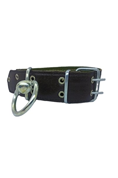 Kozak Büyük Irk Yetişkin Köpek Tasması 80x5 Cm