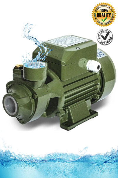 RAXTOR Yüksek Performanslı Elektrikli Su Pompası Santrafiş Motoru Qb60 Yeni M...