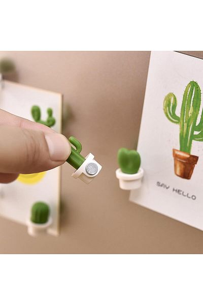 fulina 12Pcs Decorative Refrigerator Magnets,Cactus,No Scratch,Strong&Sturdy,for Kitchen,Office Whiteboard