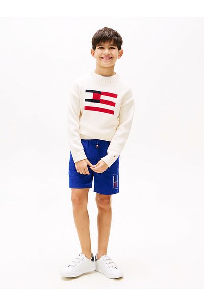 Tommy Hilfiger Tommy Hilfiger Boys Wedge Blue Graphic Sweat Shorts
