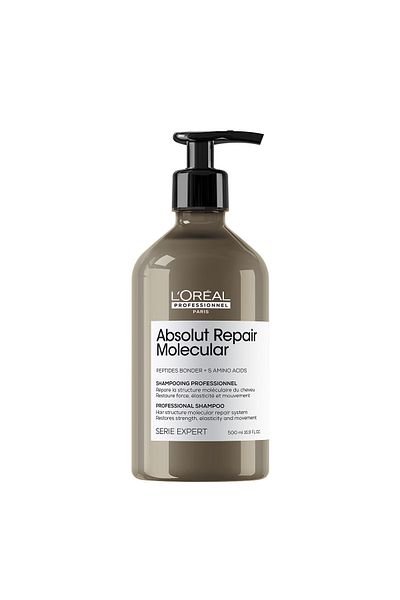 L'oreal Professionnel Expert Absolut Repair Molecular - Purifying Damask for All Damaged Hair