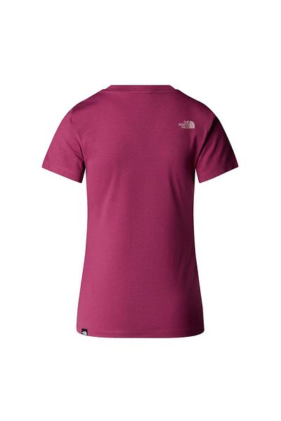 THE NORTH FACE Γυναικείο πολύχρωμο Ss Easy T-Shirt Nf0a8a6d90m1