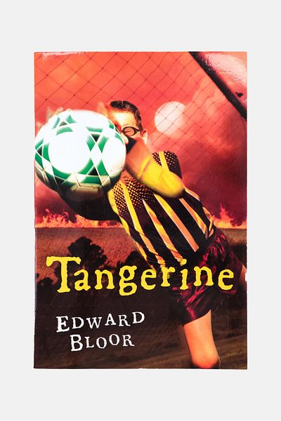 Edward Bloor Tangerine Book, Blue