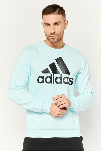 adidas Men Sportswear Fit Long Sleeves Outdoor Sweatshirt, Light Blue
