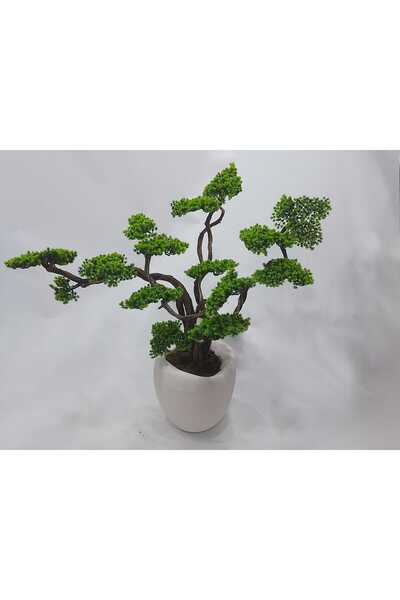 İremÇiçekçilik Dokulu Karbonfiber saksıda Bonsai - Yeşil