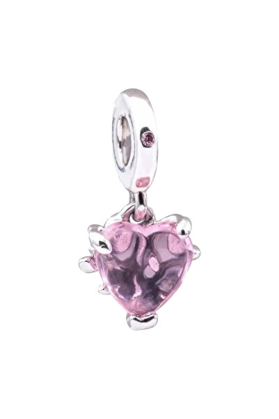 Dumledo Pembe Ailemizin Kalbi Charm