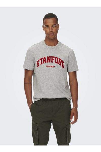 ONLY Men's T-Shirt 22023064