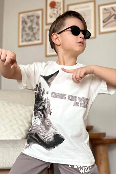 Riccotarz Хлопчачий комплект з сірими шортами з принтом вовка та написом «Free Wolf»