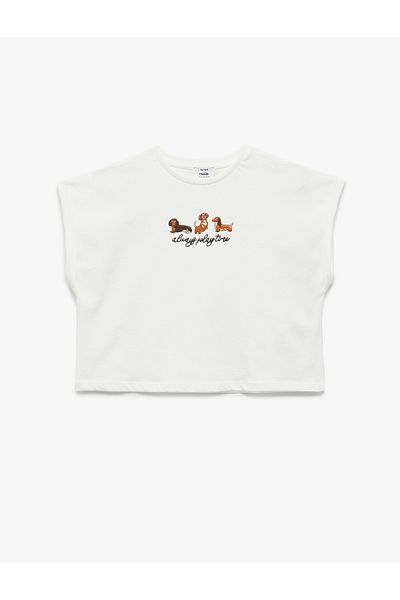 Koton Embroidery Detailed Short Sleeve Crew Neck Cotton Crop T-Shirt