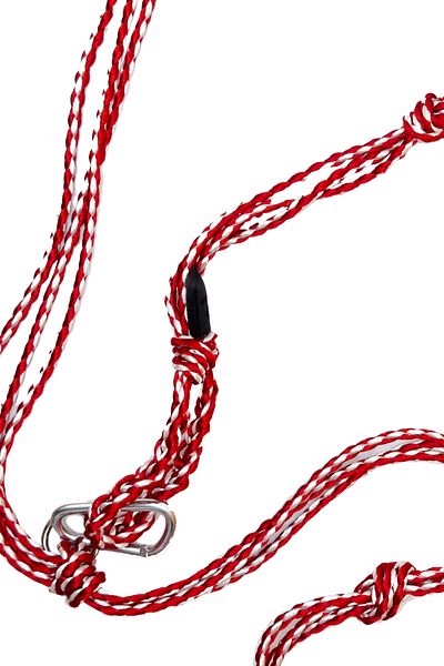 PETSWUU Two Color Satin Rope Design Dog Hands Free Running and Walking Leash