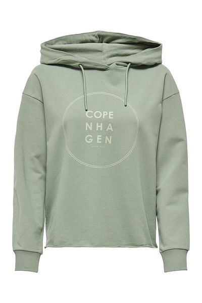 JDY Kapuzenpullover JDYGAMMA Sweatshirt