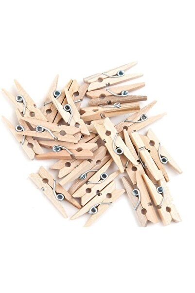 TTT Wooden Mini Raw Pegs 100 Pieces