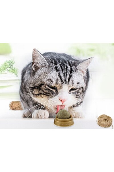 TTT Cat Herb Play Ball