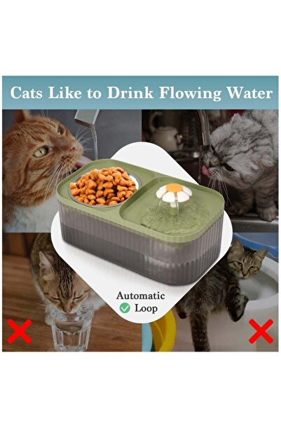 Yelajoy 2-in-1 pet drinking fountain,3L capacity,ultra-quiet pump,BPA-free,easy to install and clean,green