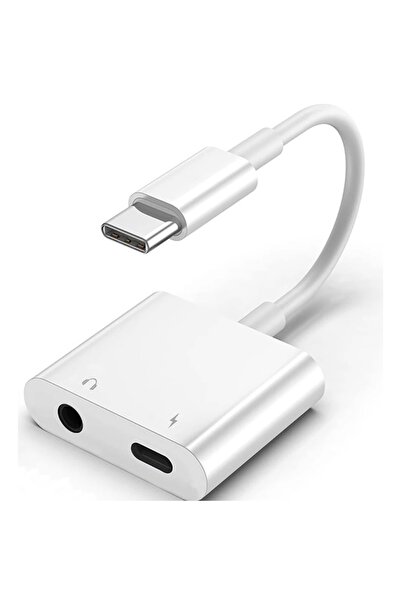 İMEXTECH BİLİŞİM BURADA ZR733 GL054-1 TYPE-C AUX ŞARJ ÇEVİRİCİ