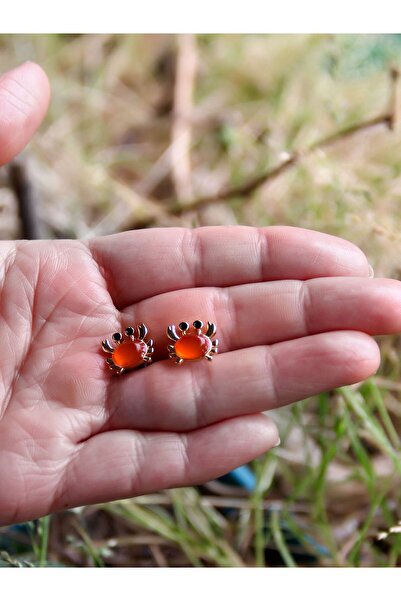 esha Doğal Taş Akik Doğal Taşlı Yengeç Altın Kaplama Kadın Küpe euk21a