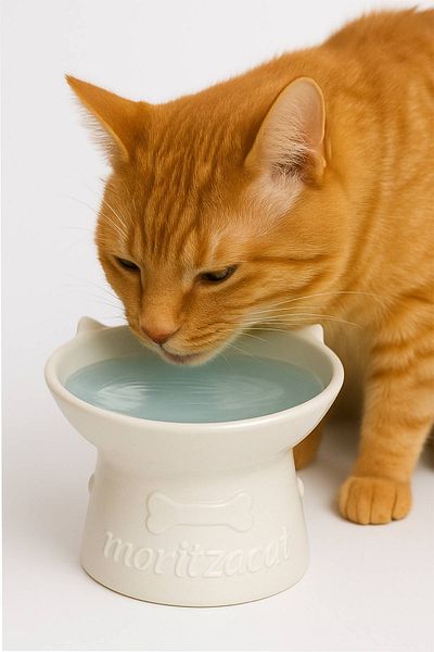 MEDUSHOP Ceramic Food-Water Bowl with Cat Figure