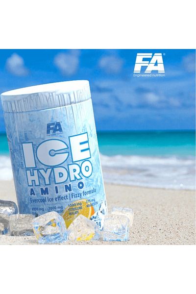 Fa Ice Hydro Amino(Eaa+Glutamine+Bcaa) 480 g