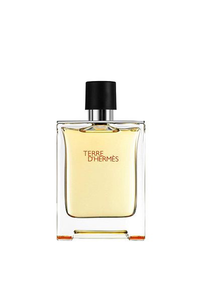 Hermes Terre D Men's Edt 100ml