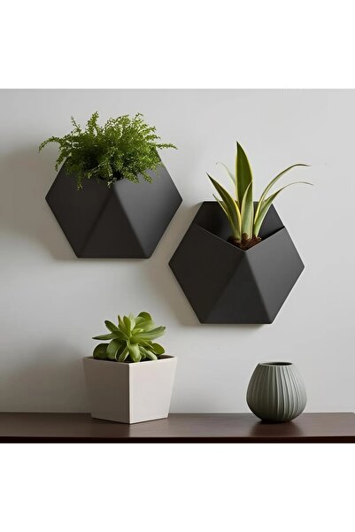 GİT3D DUVARA ASILABİLİR SAKSI