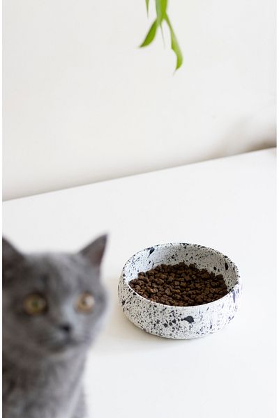 Beige & Stone Ceramic Handmade Food / Water Bowl (S) - Speckled 14 cm