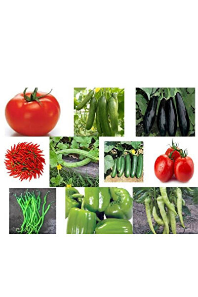 LİFE Drip Life 2 Adet Sebze Tohumu