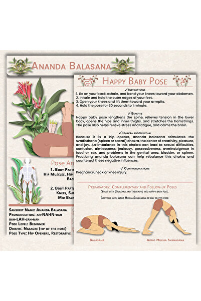 Yoga Hareketleri 60 Yoga Pose Physical Cards | Yoga Anatomy Deck | Includes Sanskrit, Instructions