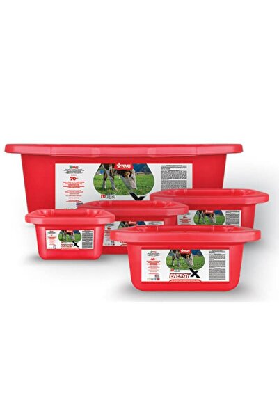 REVA Revijel Energy Vitamin-İz mineral Giderici Yalama Bloğu 25 KG