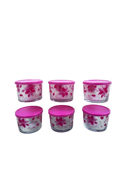 GÜROK Lav 6-Piece Glass Storage Container with Lid / 240 Cc