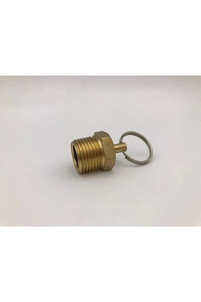 doremodam WATER PICK PLUG (CHECK VALVE) 1/2 NPT (Lisinya)