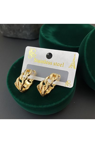 FM Stylish Mesh Design Gold Color 316L Steel Earrings - Modern and Flashy