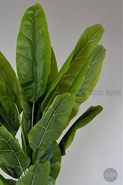 BİÇİÇEK Yapay Muz Ağacı 230 cm Lux Dış Mekan Saksıda