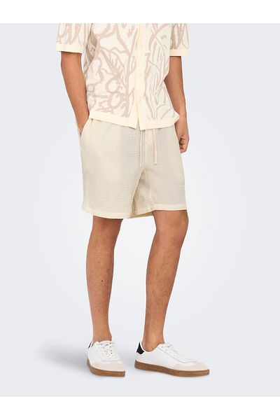 Only & Sons Shorts ONSTEL-PAS Normal geschnitten Shorts
