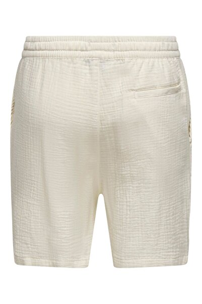 Only & Sons Shorts ONSTEL-PAS Normal geschnitten Shorts