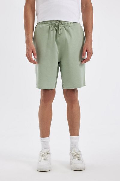 DeFacto Slim Fit Slim Fit Basic Straight Shorts W1105Az24Sm