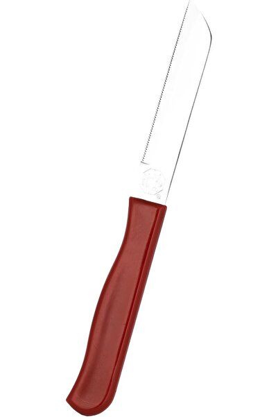 ALSAIF Stainless Steel Fruit Cutting Knives Set By Al Saif, Lightweight Design, Easy To Clean, Comfortable