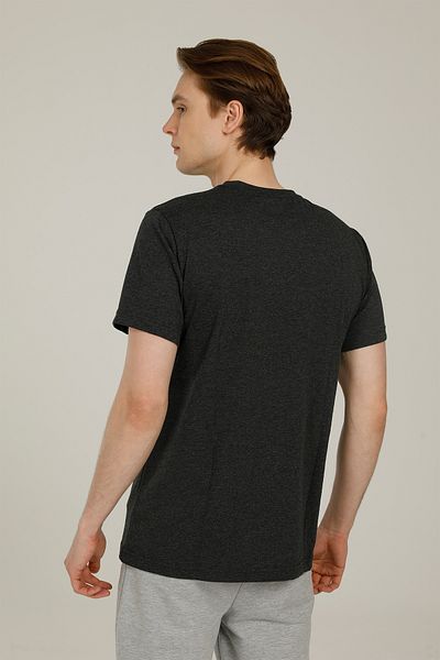 lumberjack T-shirt Sn524 Dıego 2fx Antrasıt Melanj Erkek Kısa Kol T-shirt