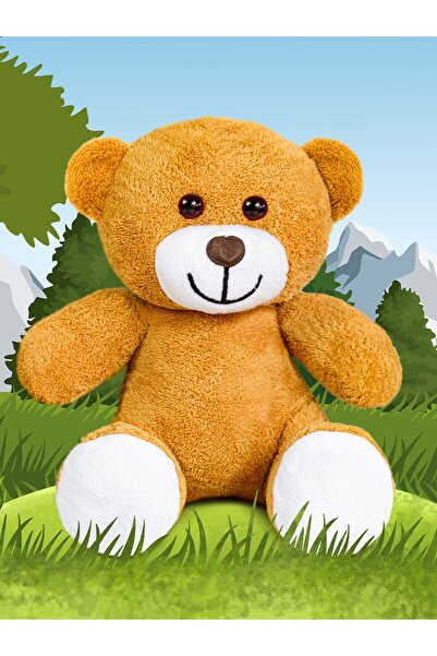 NİLOŞUM Sevimli Ayıcık 25 Cm (%100 Yerli )